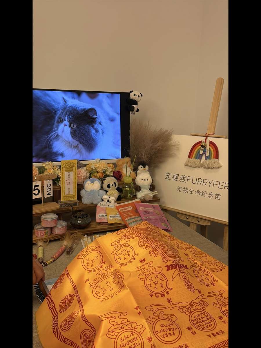 珠海宠物殡葬告别厅实景